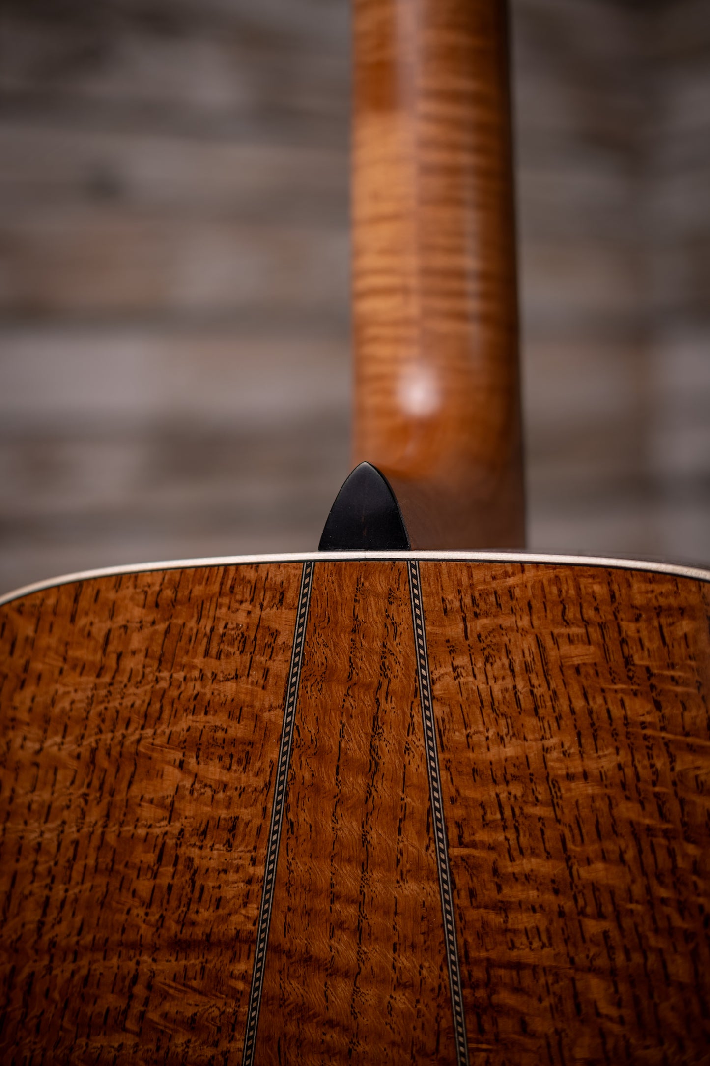 Martin CEO-11 Acoustic Guitar -New Horizons Blue Burst