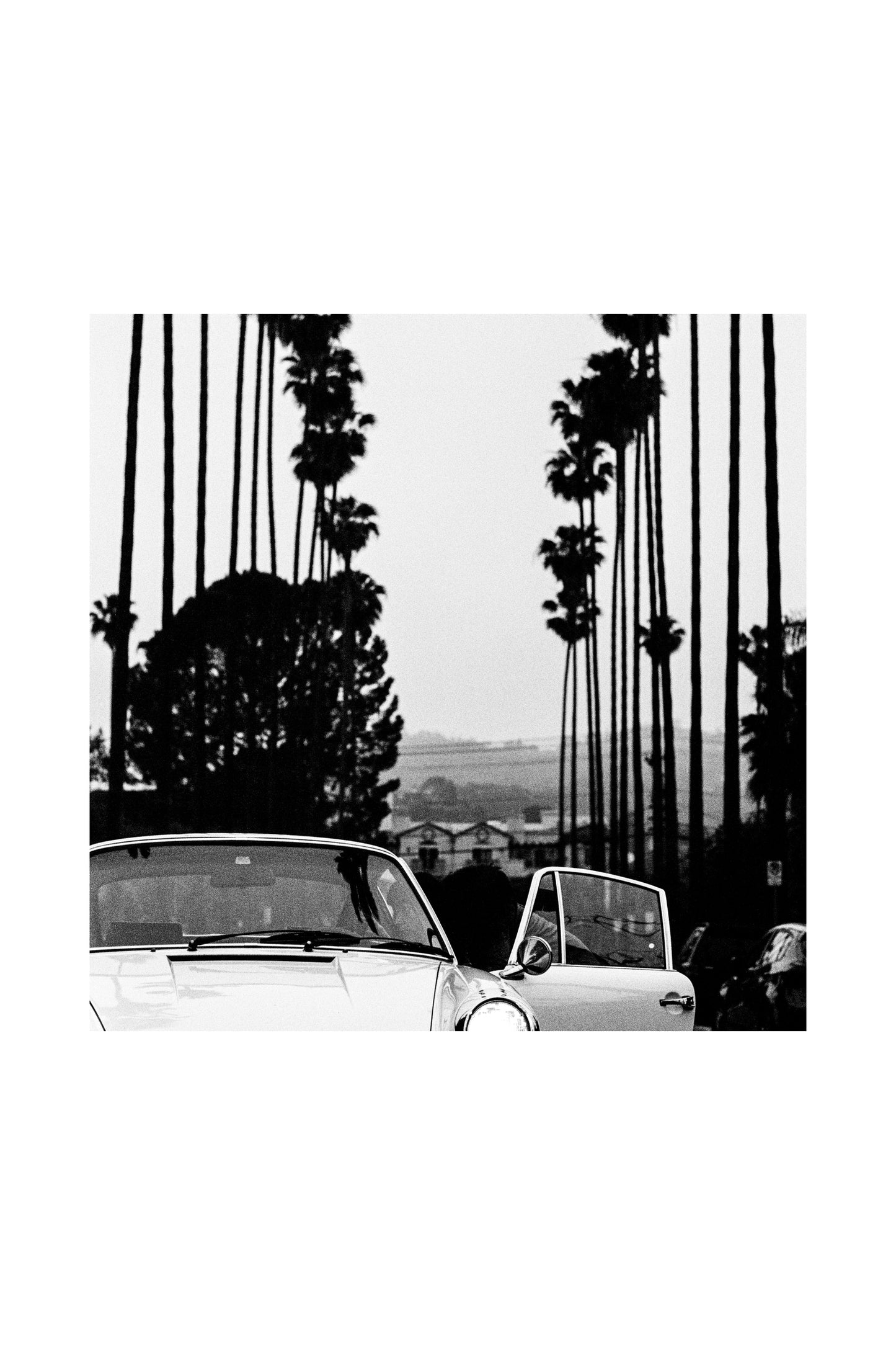 Bart Kuykens "912 Palmtrees" Framed Print