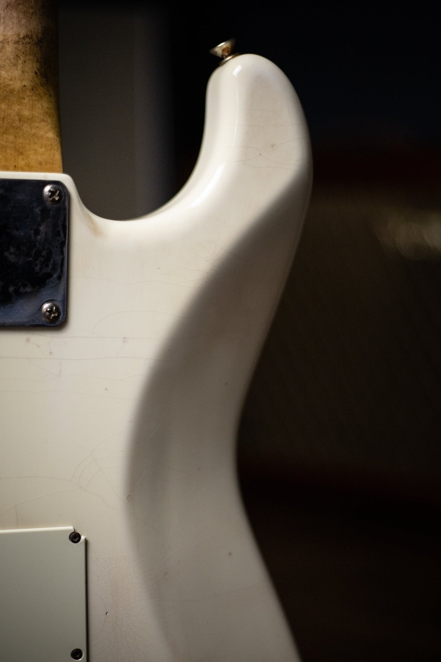 Walt Grace Customs 60's Indian Rosewood S-Type Electric Guitar - Olympic White