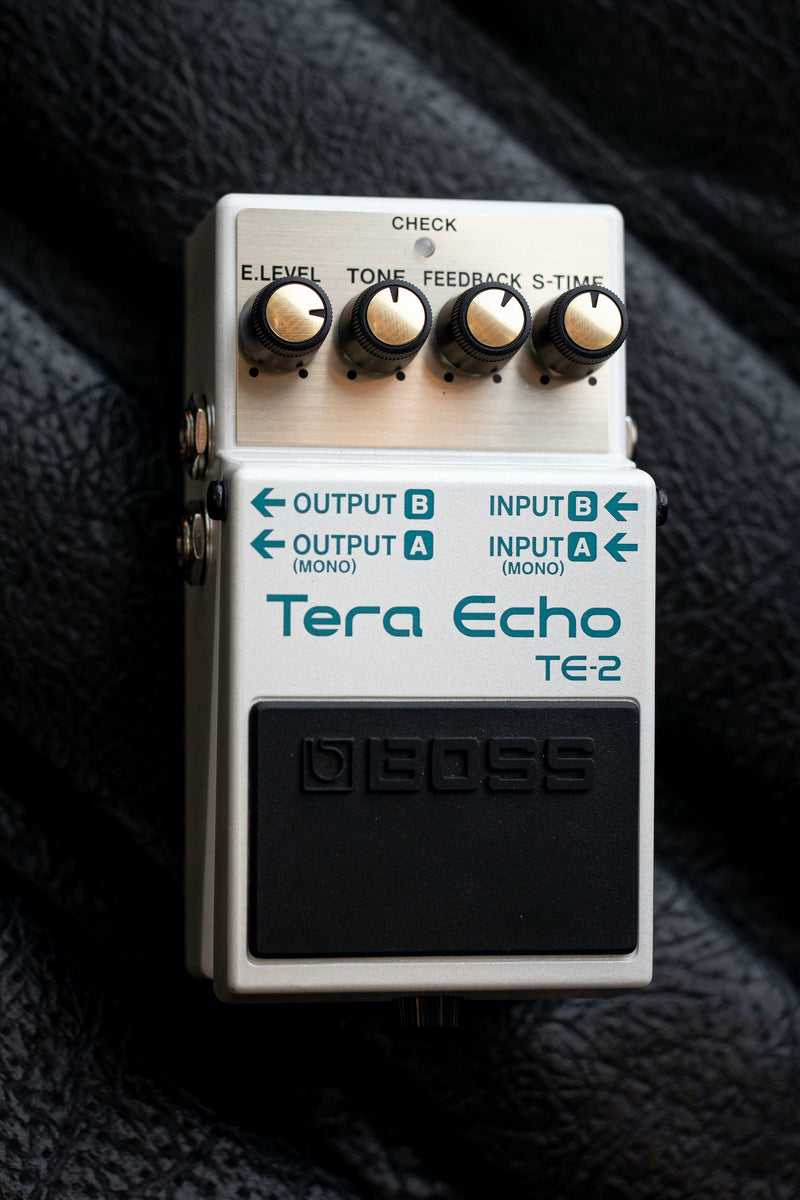 BOSS TE-2 Tera Echo Pedal – Walt Grace Vintage