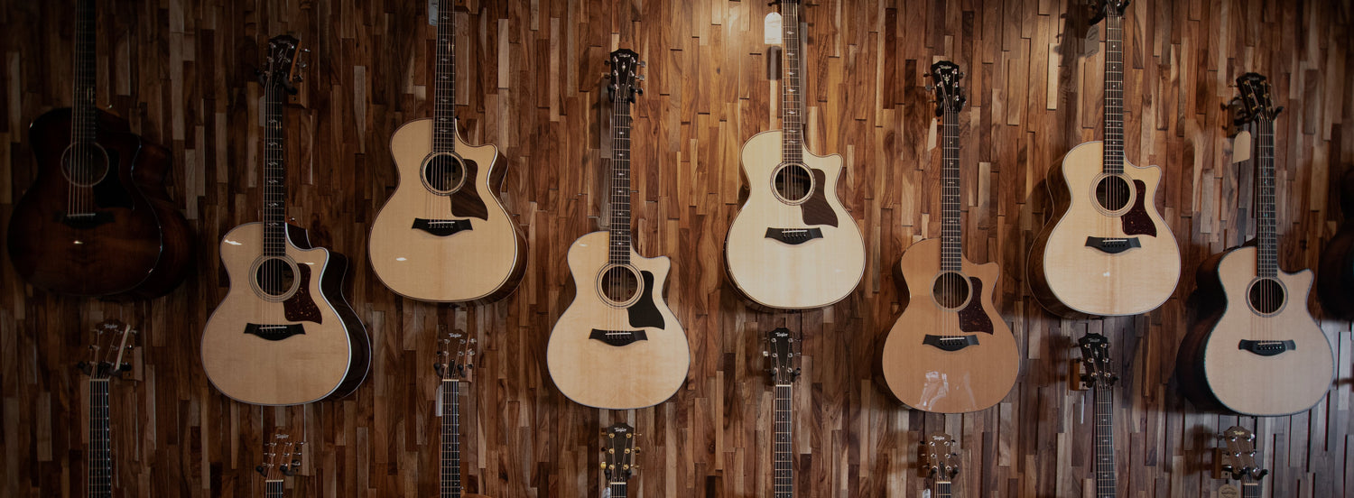 ACOUSTIC GUITARS