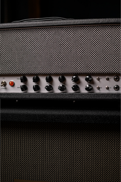 Friedman Twin Sister Dual Channel 40 Watt Head
