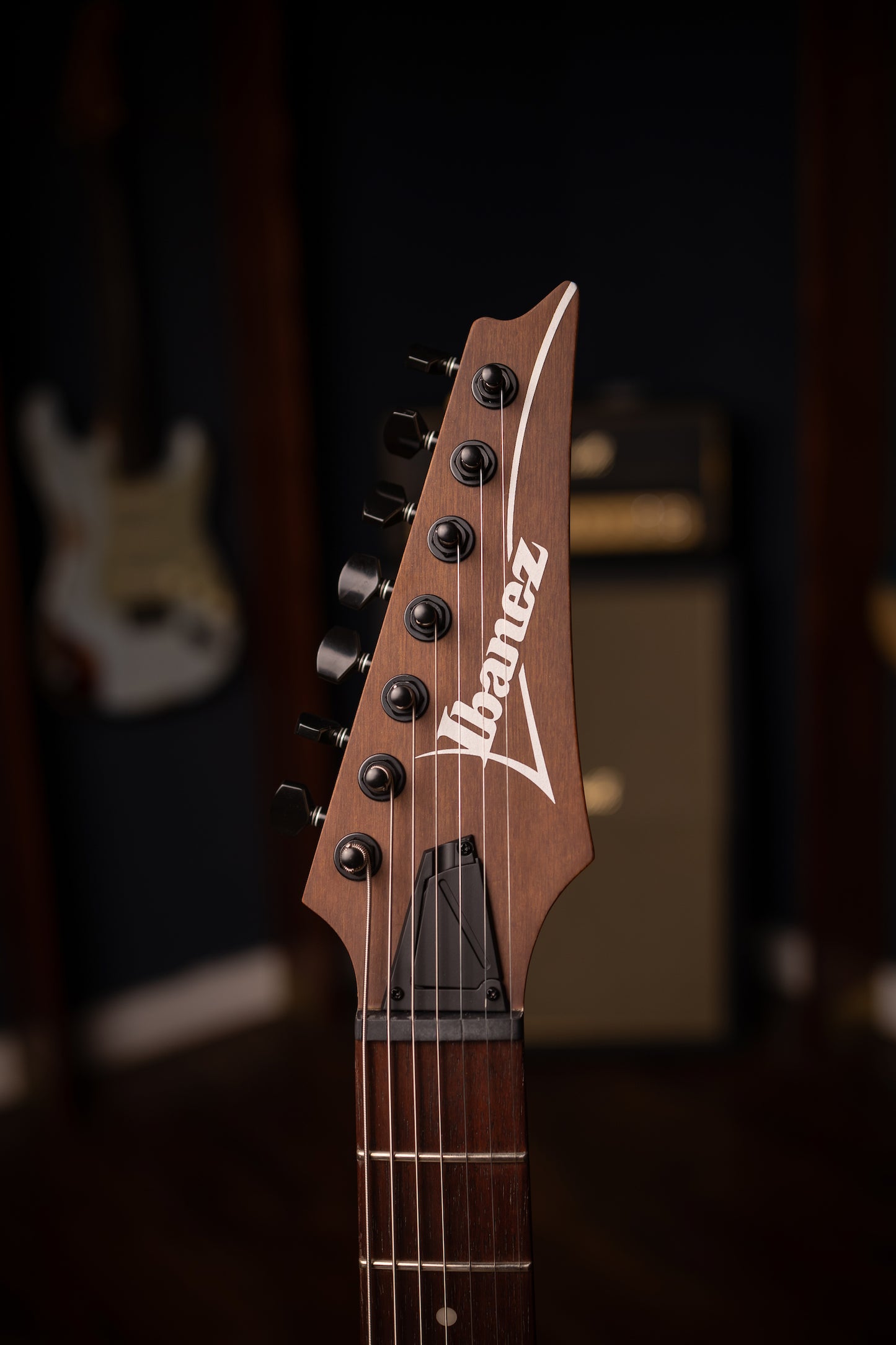 Ibanez RG7421 Walnut