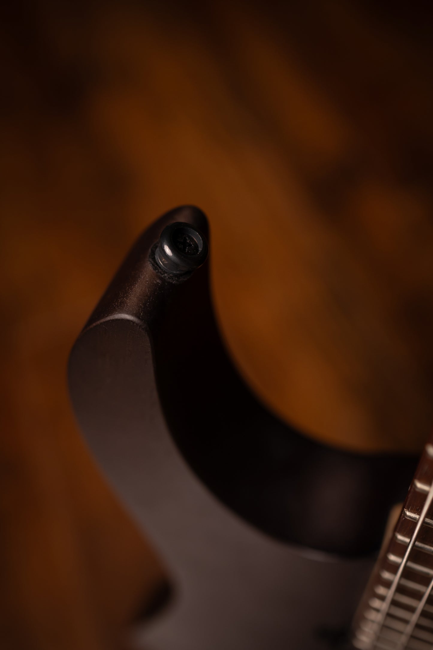 Ibanez RG7421 - Walnut