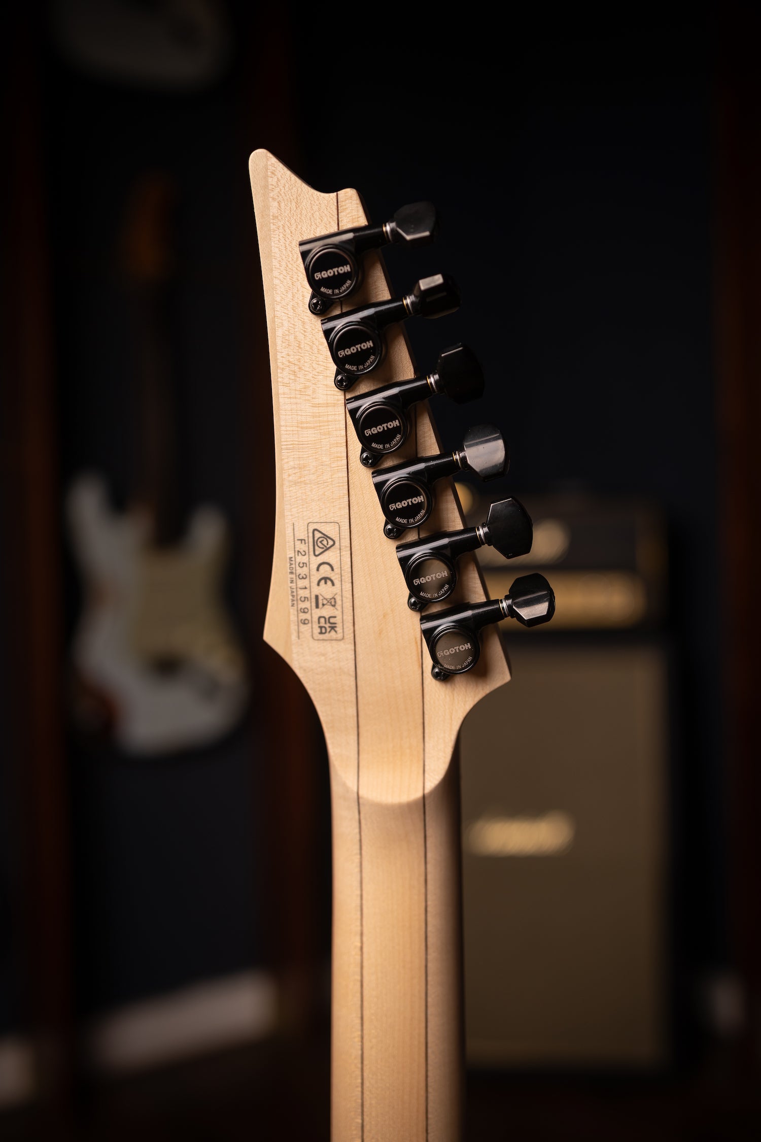 Ibanez RG550BK - Black