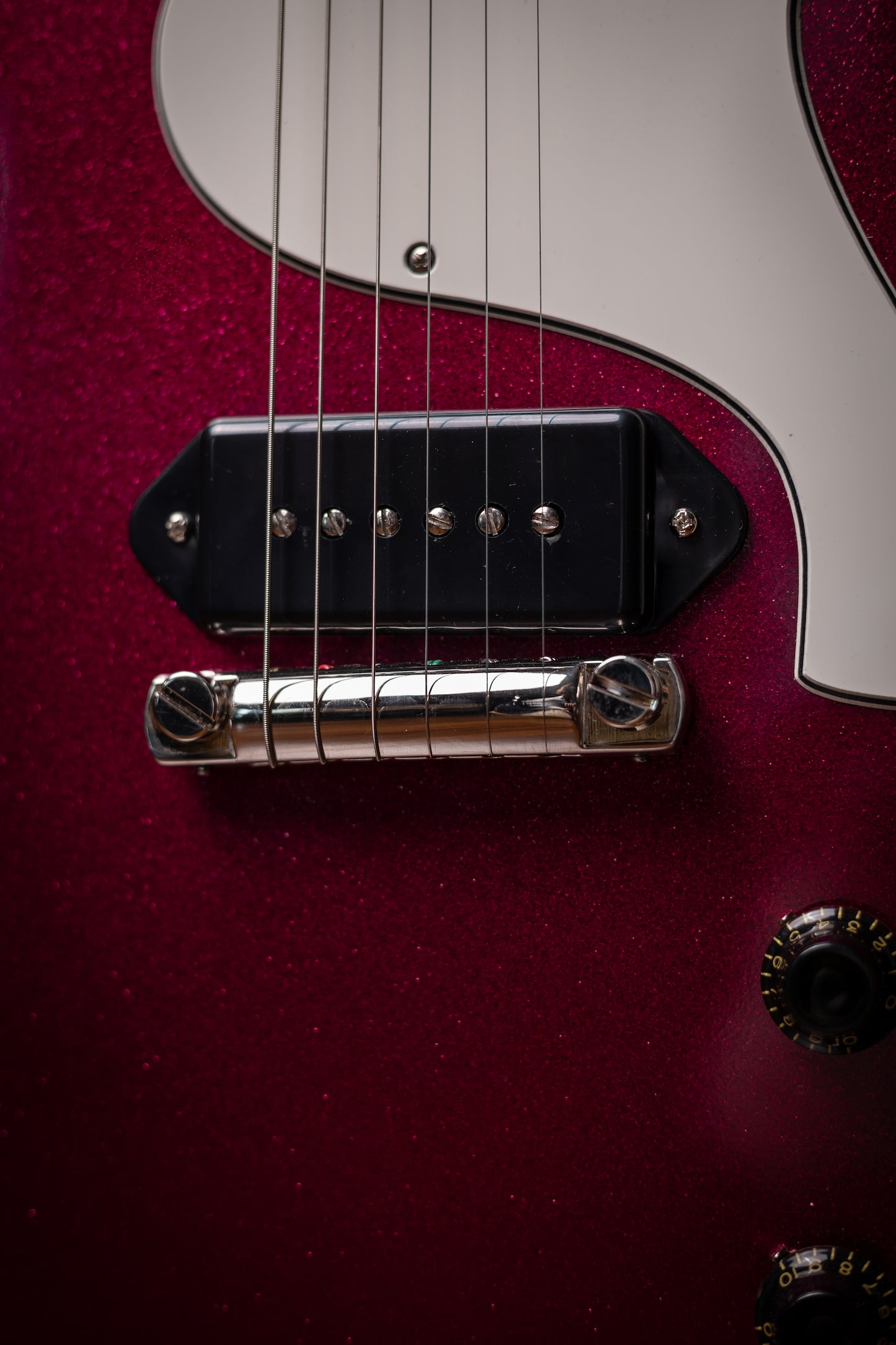 Carneglia Custom Shop Steed Electric Guitar - Purple Metallic