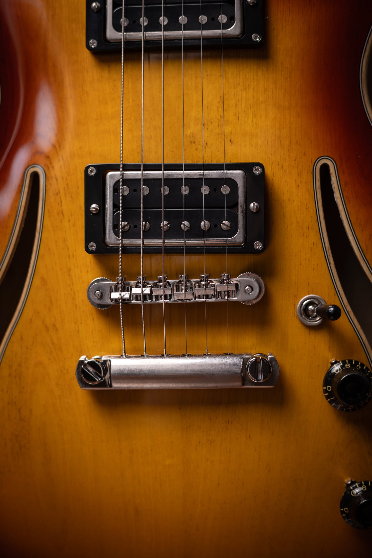 Carneglia Custom Shop Sonora Custom Semi-Hollow Electric Guitar - Sunburst