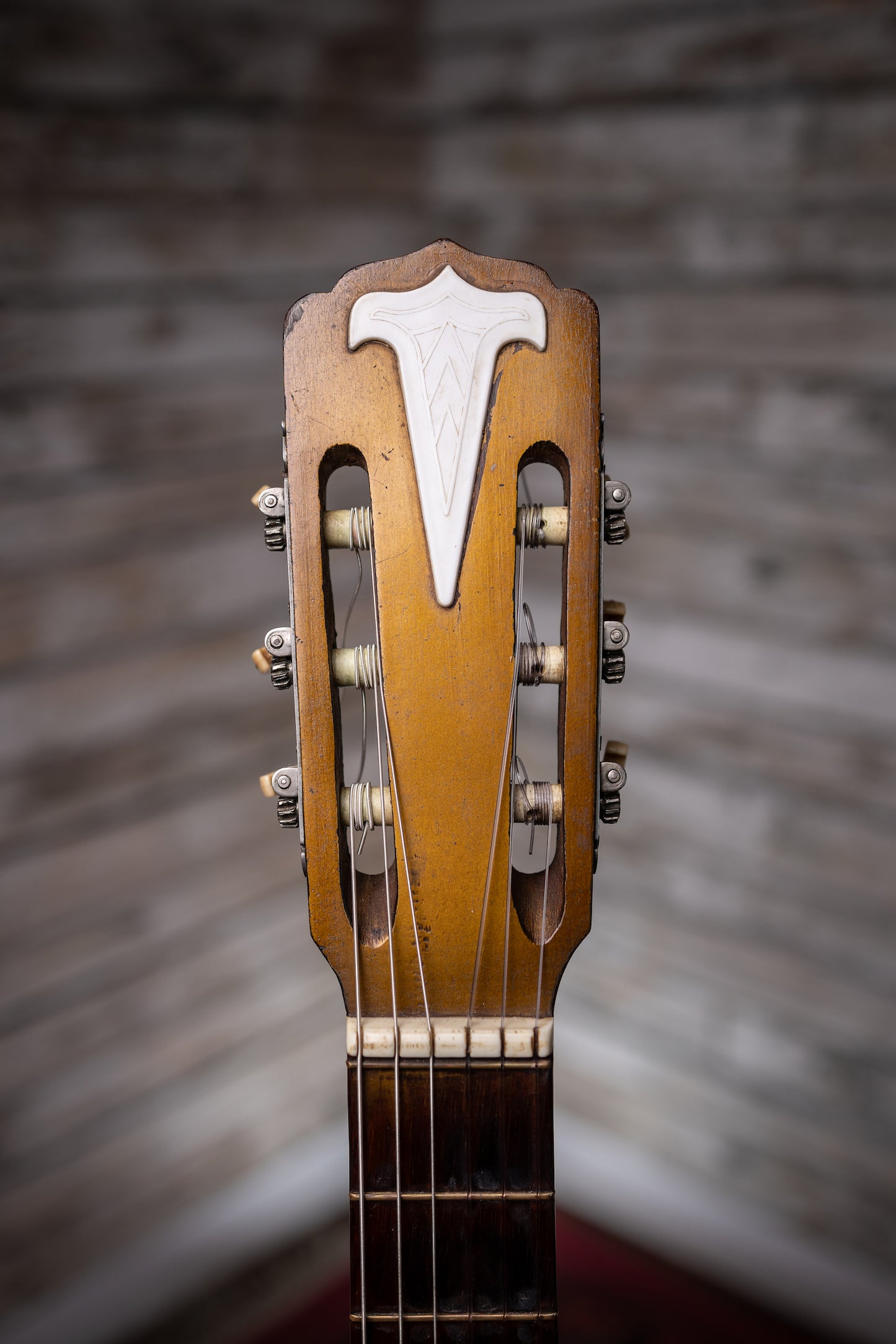 1957 DiGiorgio Vibrante Classical Guitar - Natural