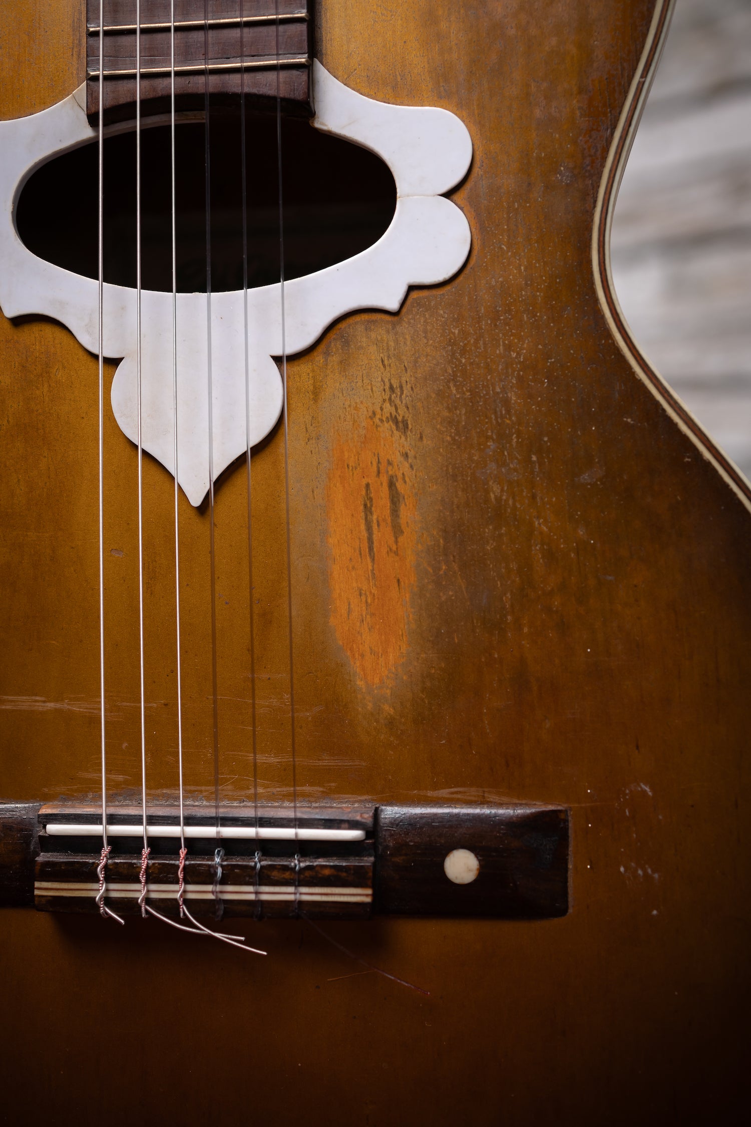1957 DiGiorgio Vibrante Classical Guitar - Natural