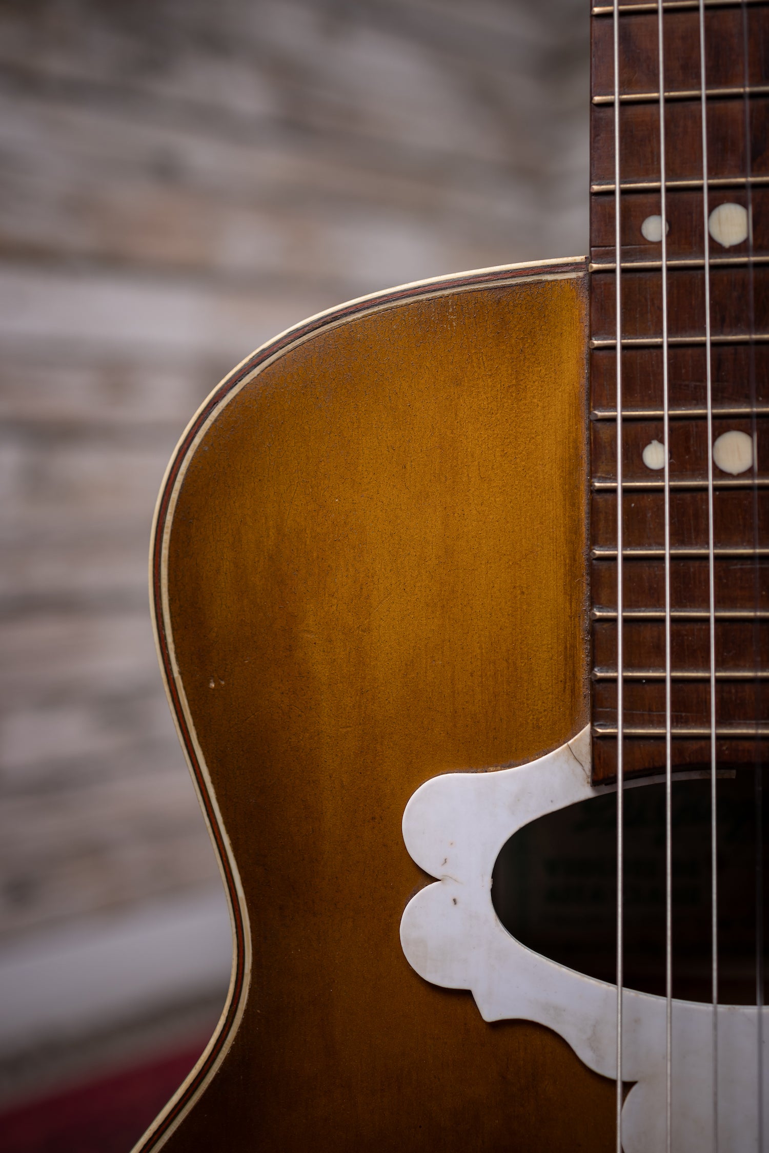 1957 DiGiorgio Vibrante Classical Guitar - Natural