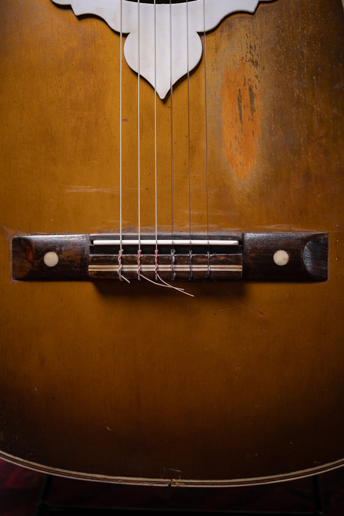 1957 DiGiorgio Vibrante Classical Guitar - Natural