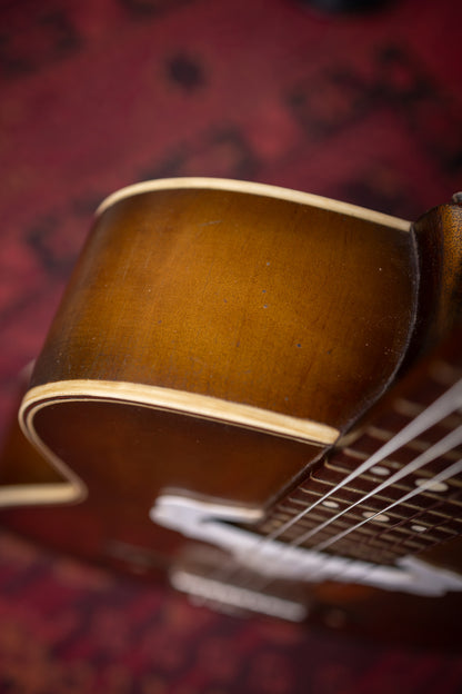 1957 DiGiorgio Vibrante Classical Guitar - Natural