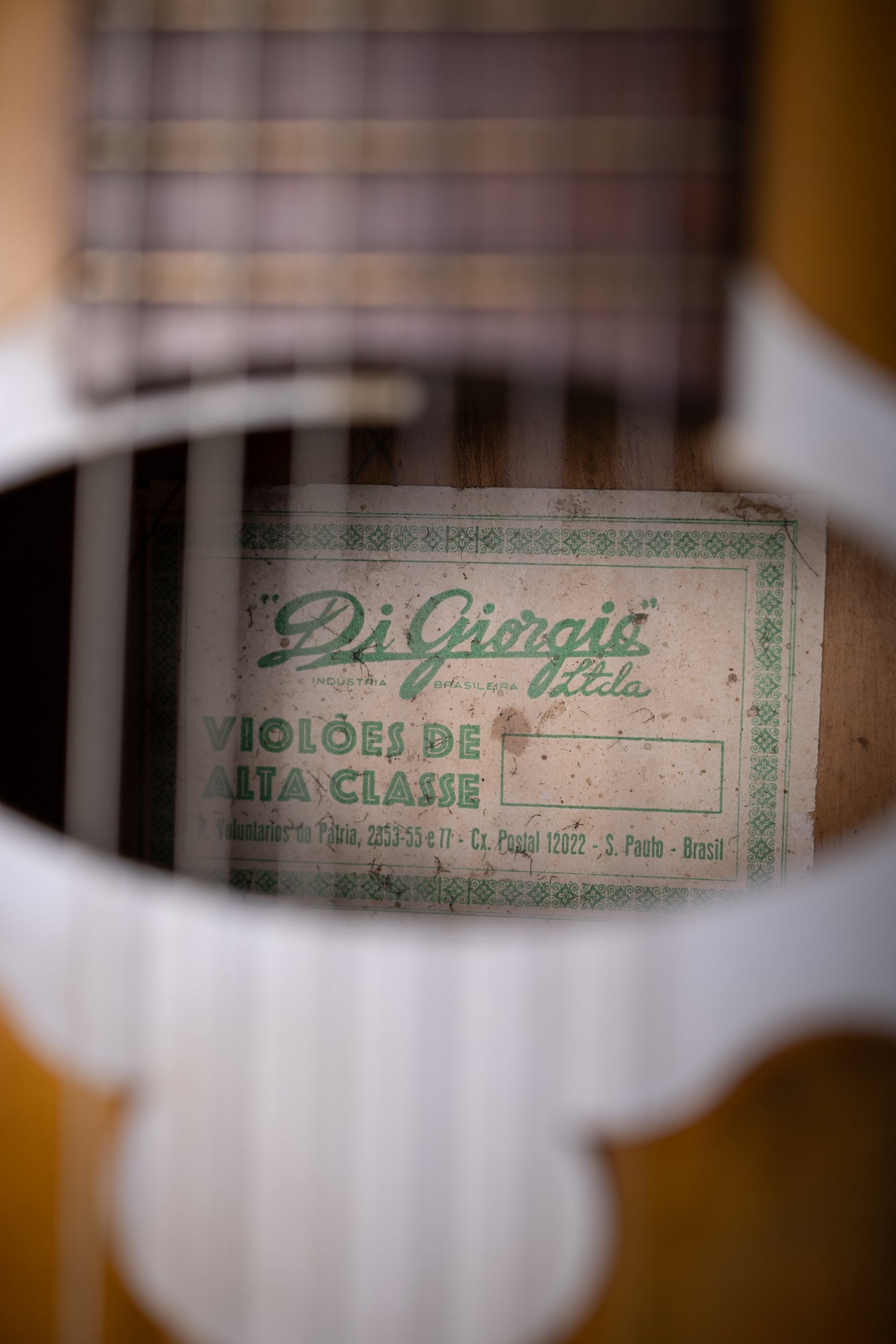 1957 DiGiorgio Vibrante Classical Guitar - Natural