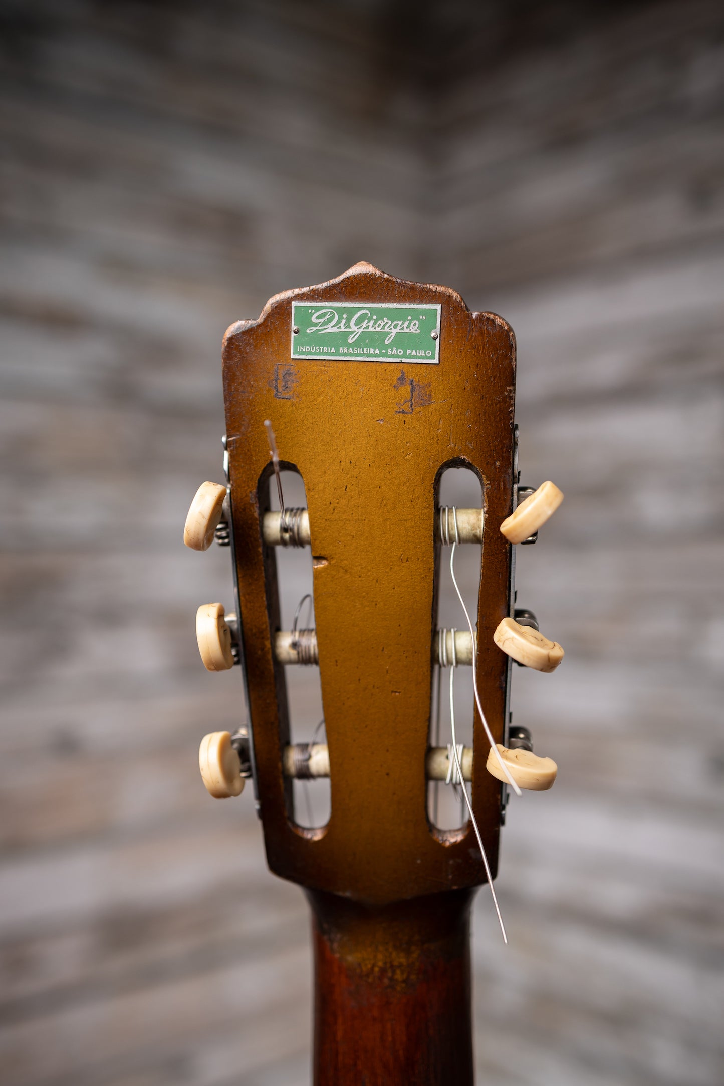 1957 DiGiorgio Vibrante Classical Guitar - Natural