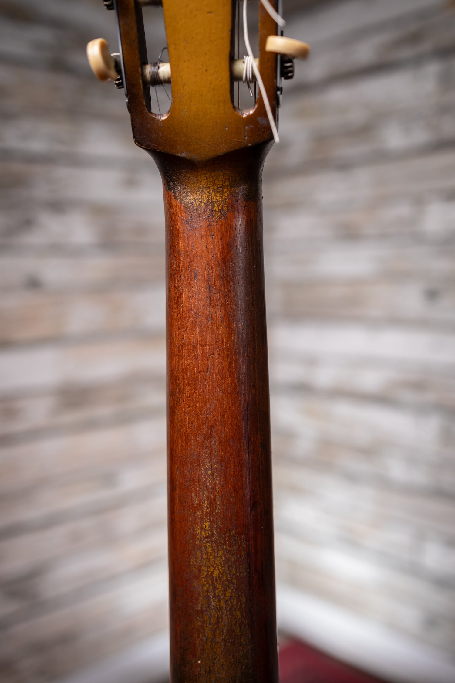 1957 DiGiorgio Vibrante Classical Guitar - Natural