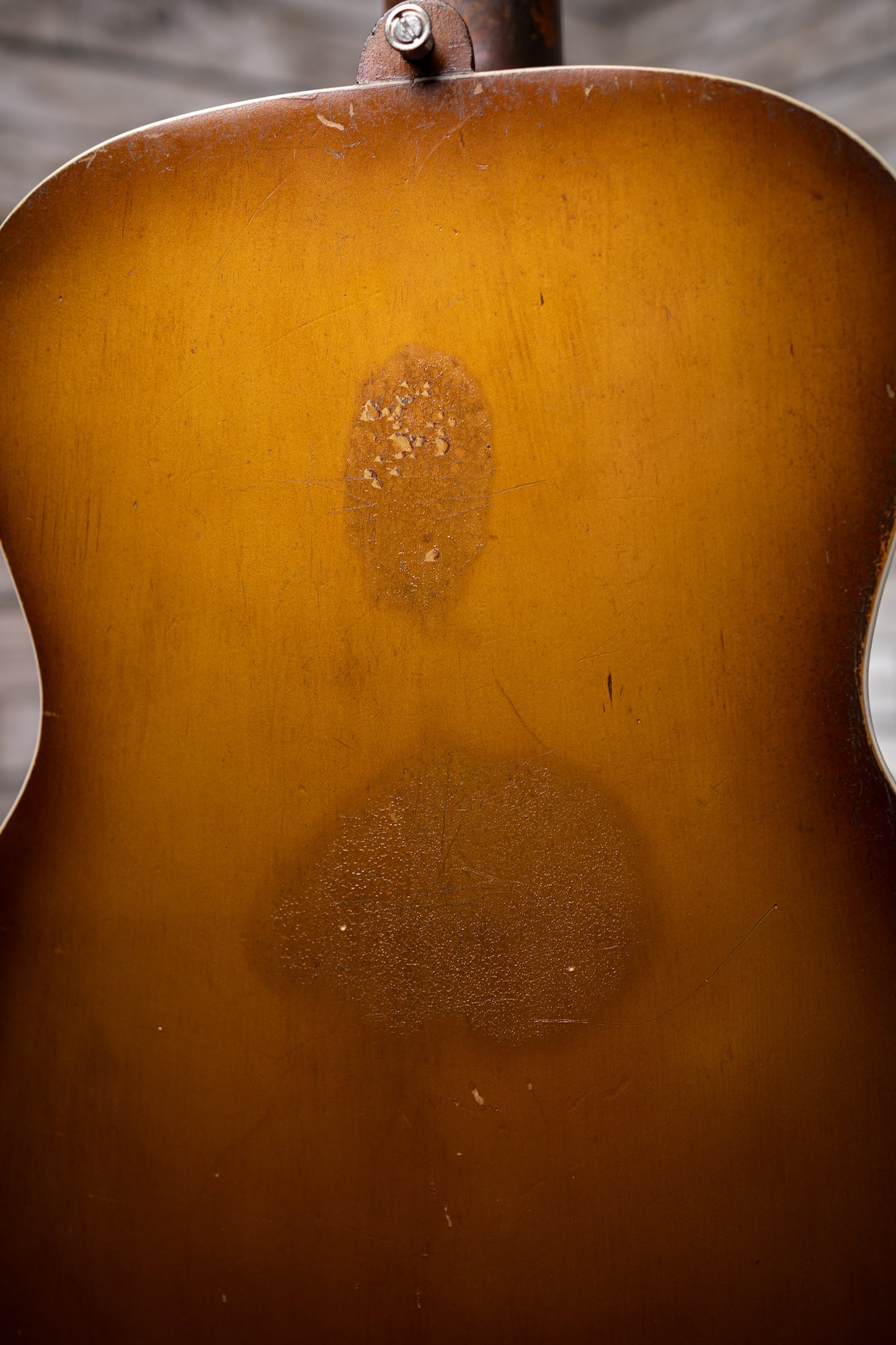 1957 DiGiorgio Vibrante Classical Guitar - Natural