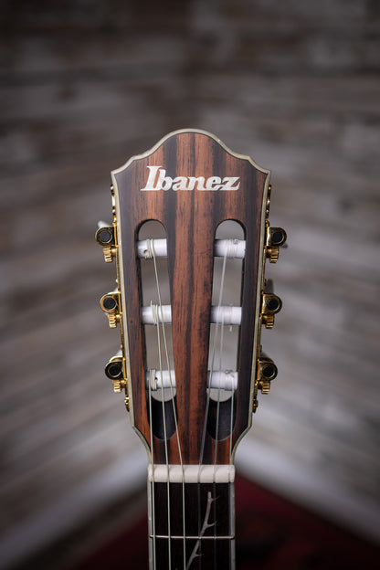 Ibanez TOD10N Tim Henson Signature Nylon-string Acoustic-Electric Guitar - Black