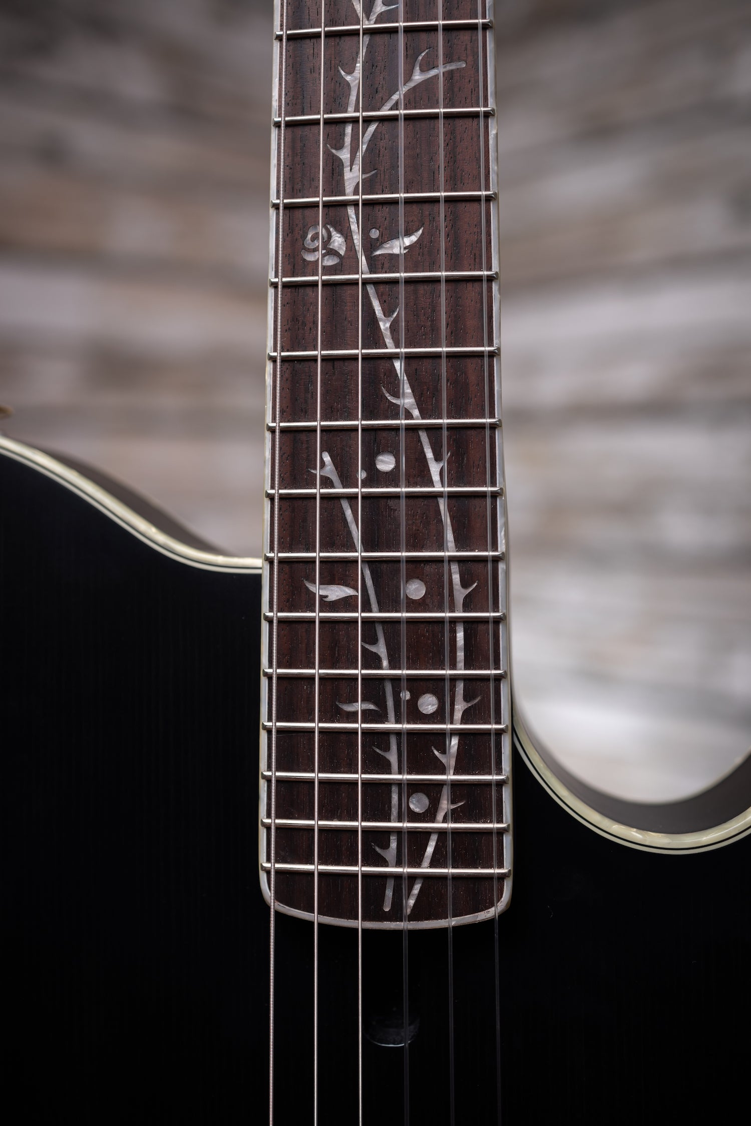 Ibanez Prestige PS10 Paul Stanley Signature Electric Guitar - Black