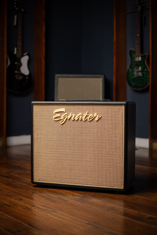 2008 Egnater Tweaker 40 Combo Amplifier