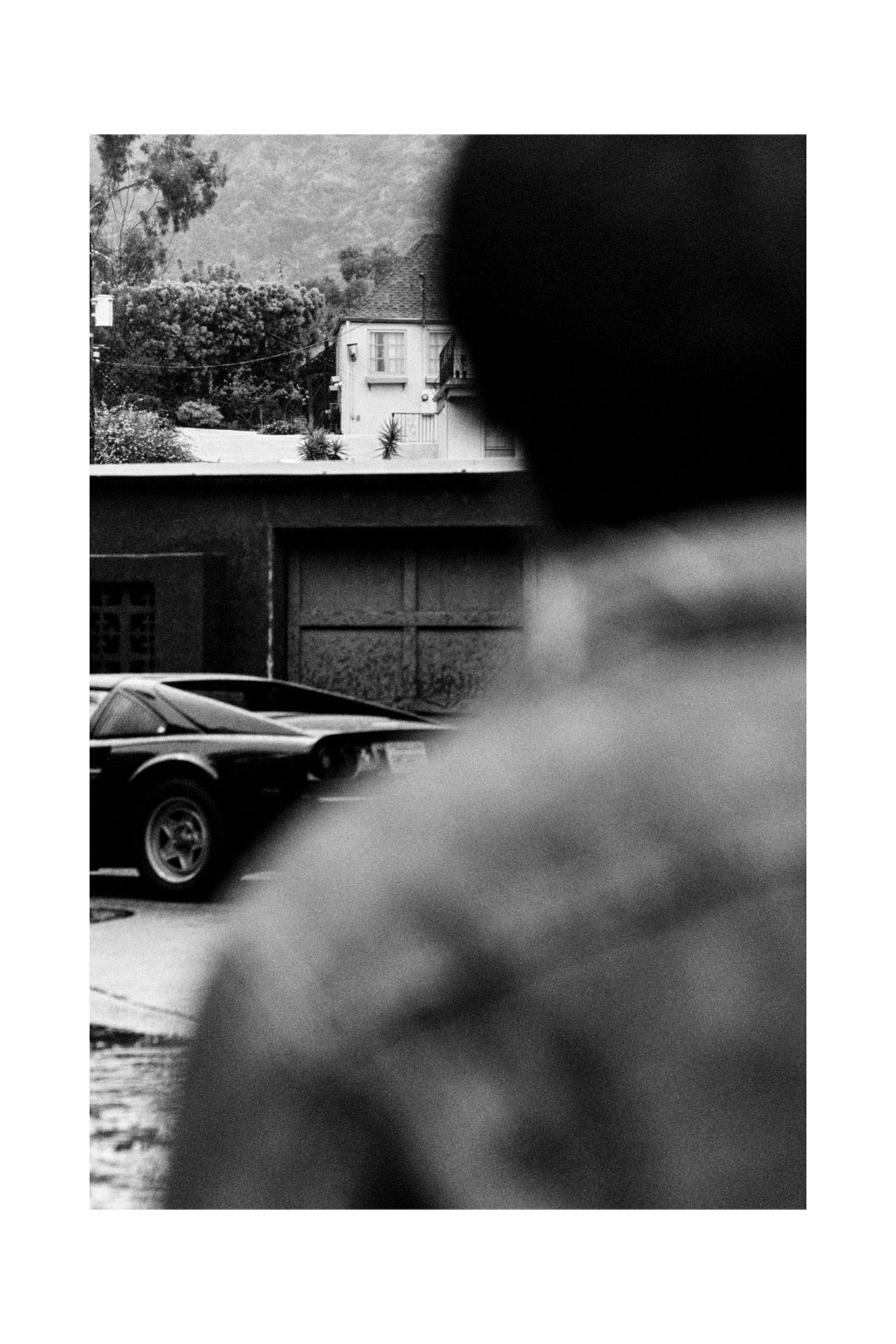 Bart Kuykens "PRANCING HORSES"