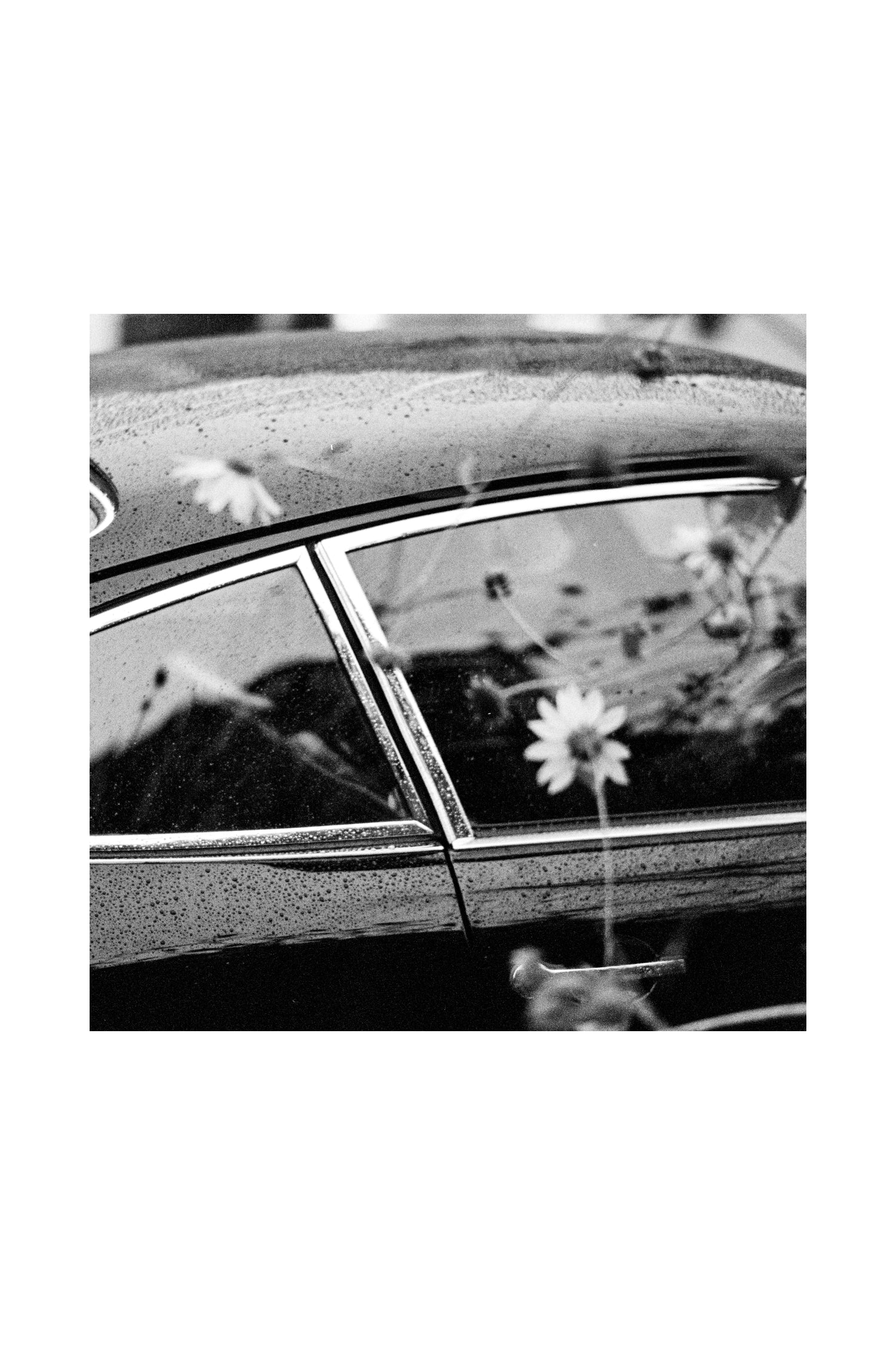 Bart Kuykens "Flowers" Framed Print