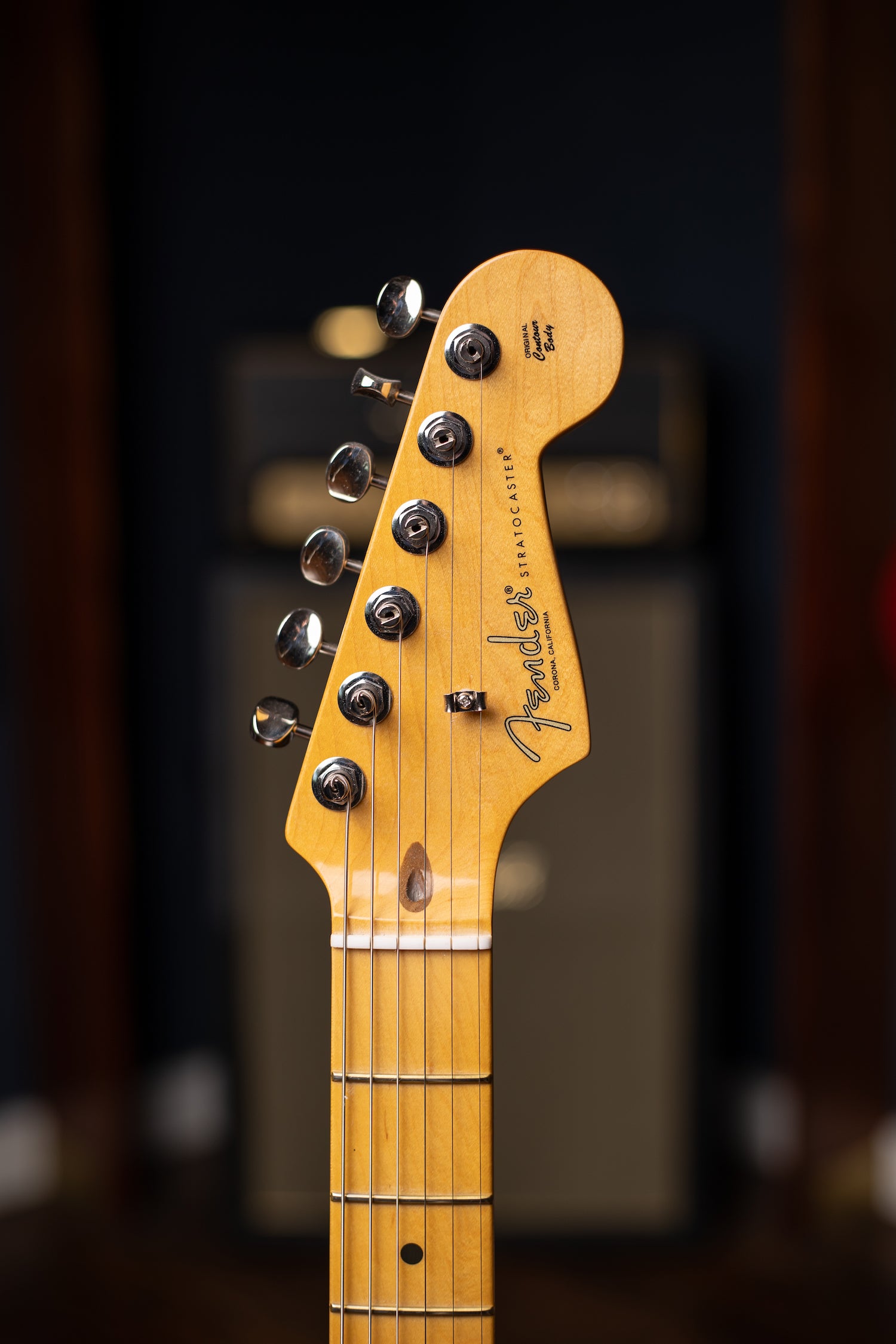 Fender American Professional Classic Stratocaster® HSS Electric Guitar - Lake Placid Blue