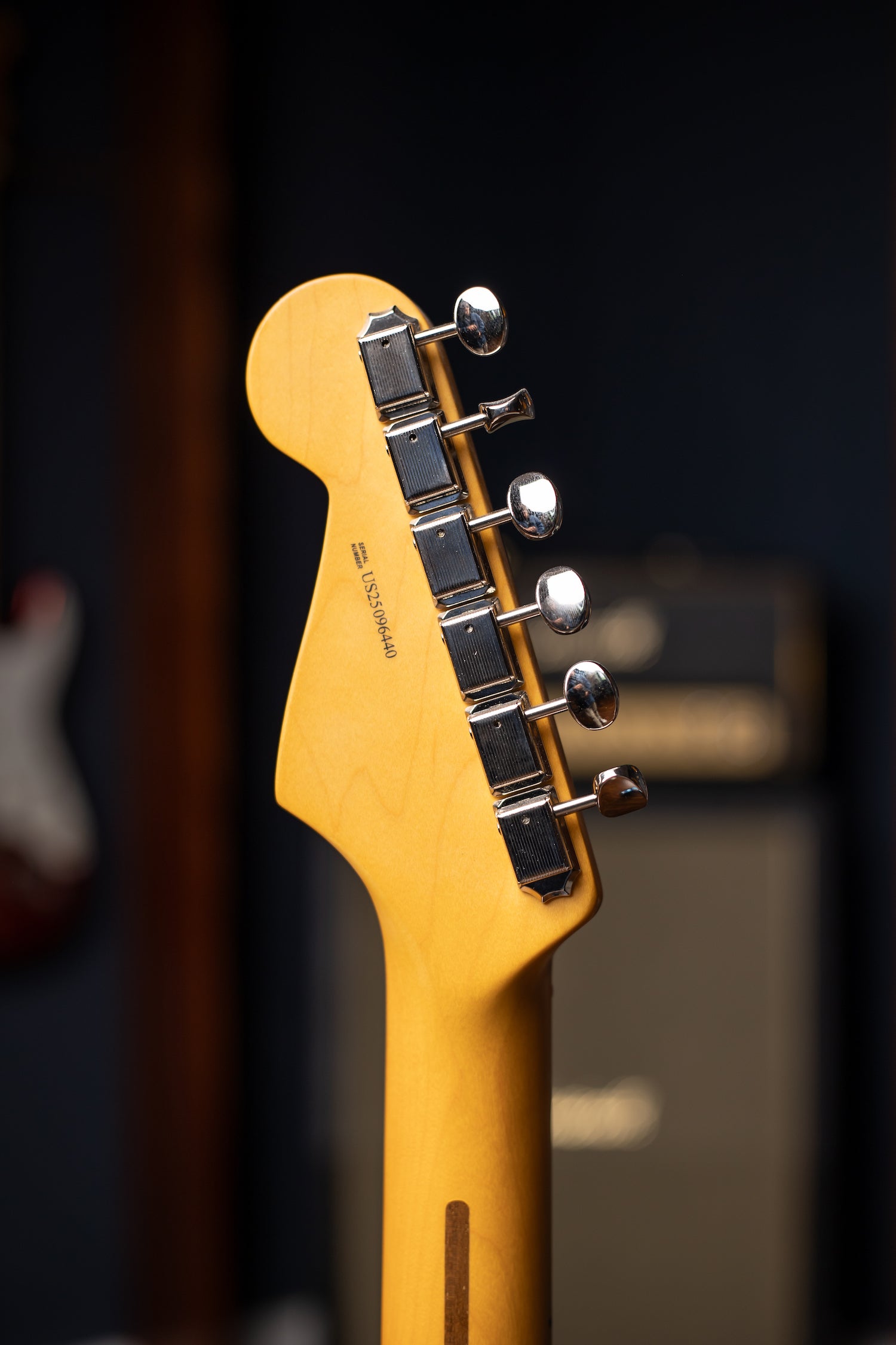 Fender American Professional Classic Stratocaster® HSS Electric Guitar - Lake Placid Blue