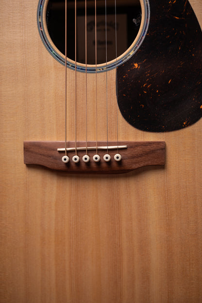 Martin D-X2E Dreadnought Acoustic/Electric Guitar - Brazilian Rosewood HPL