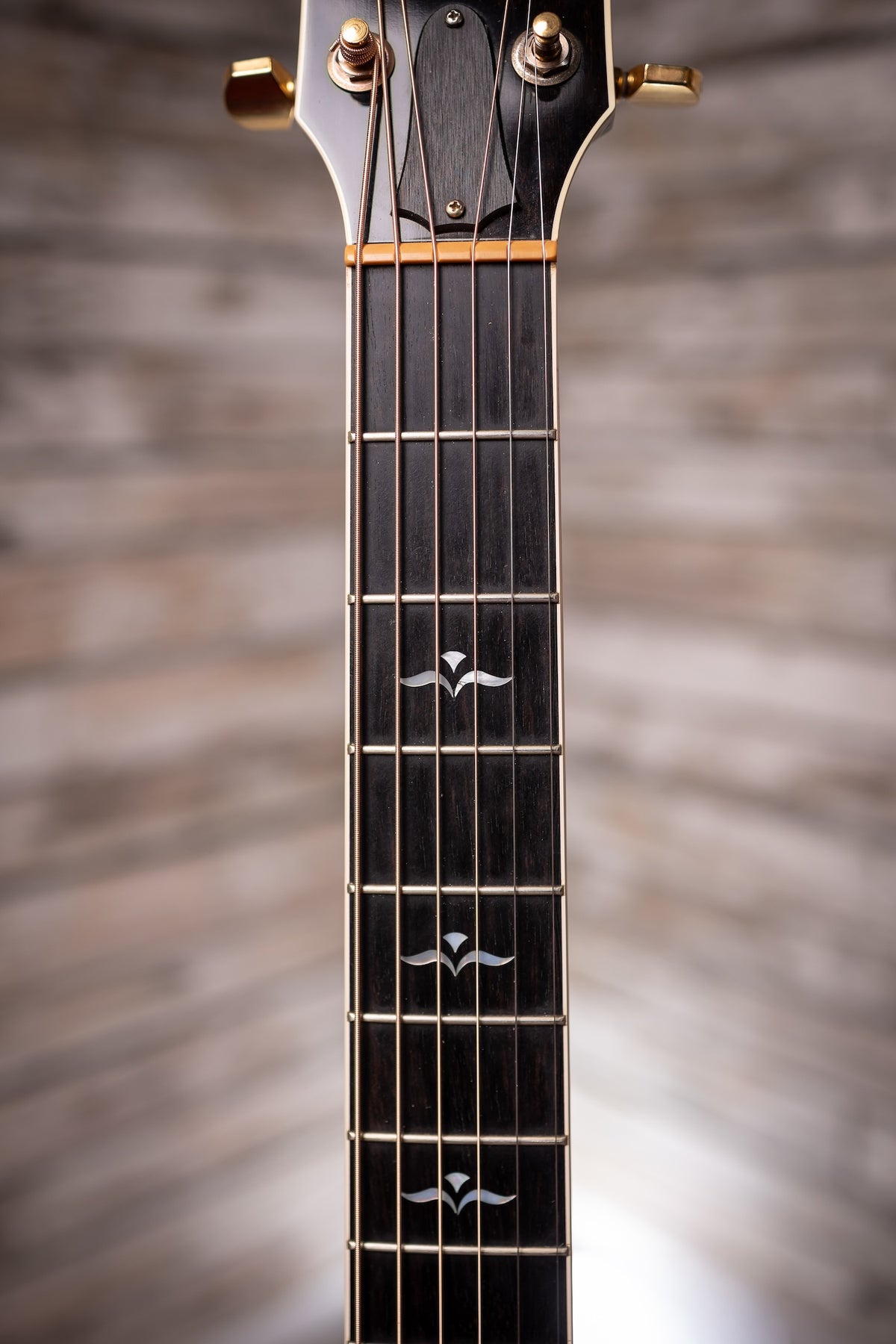 2009 Taylor 614CE Acoustic Guitar - Blue Trans