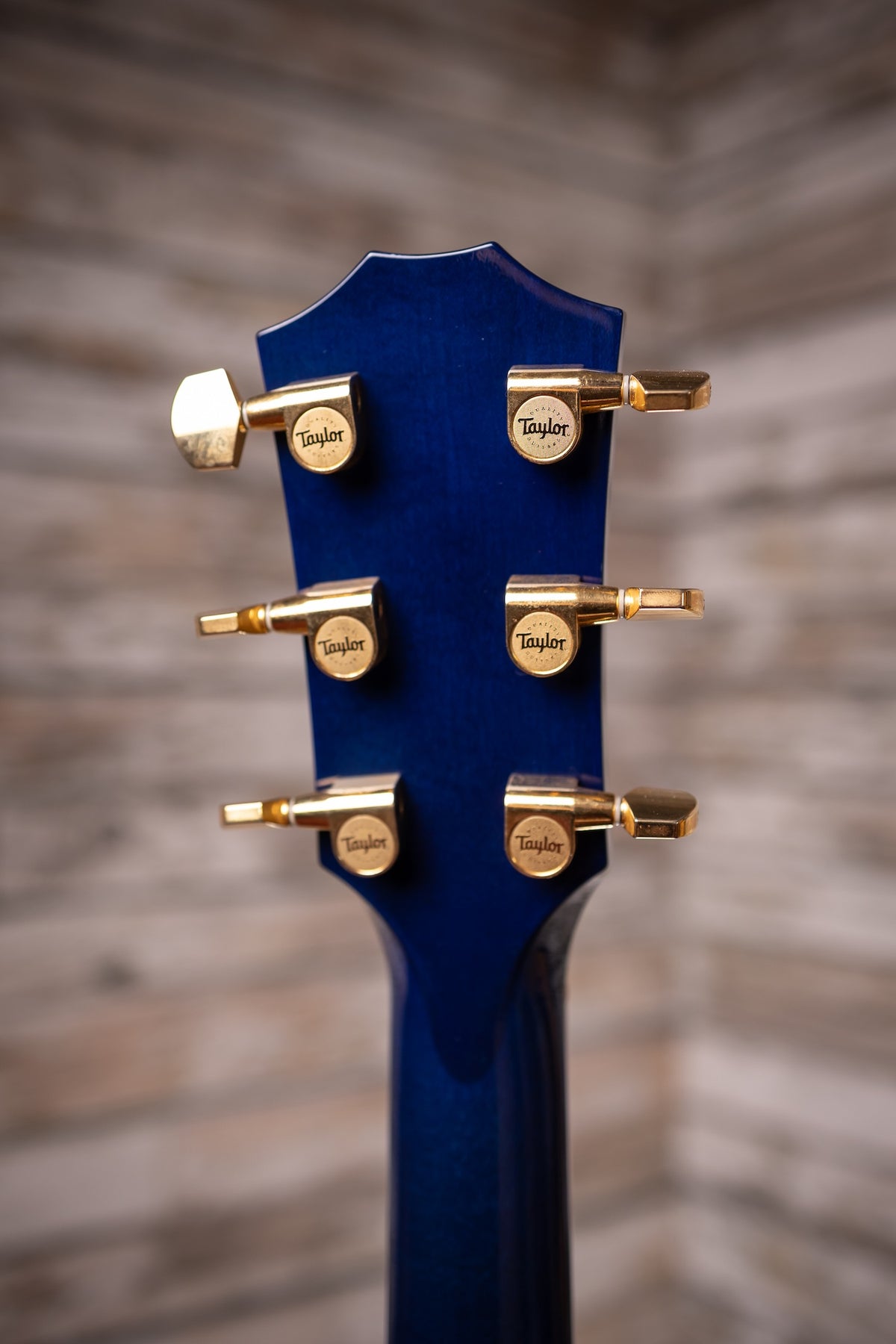2009 Taylor 614CE Acoustic Guitar - Blue Trans