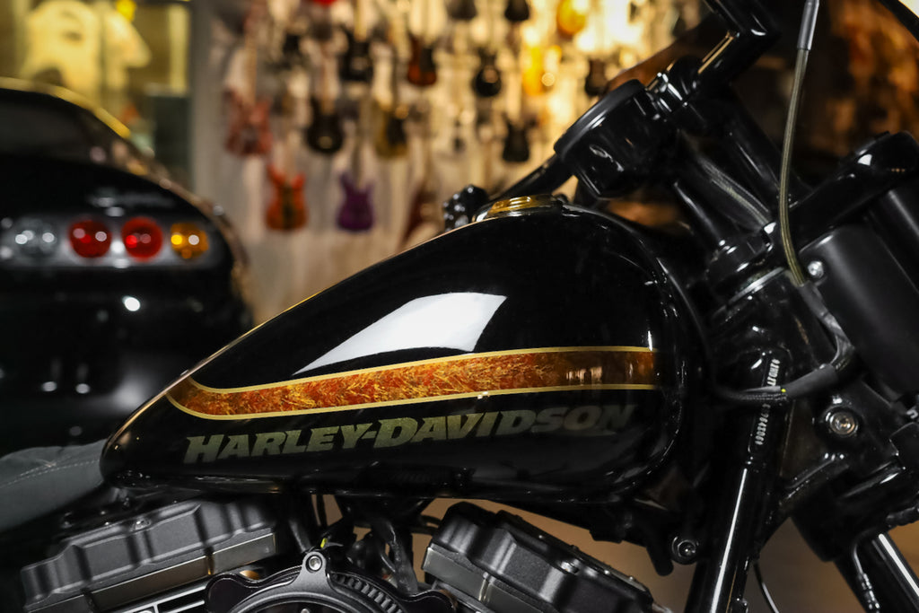 2016 Harley-Davidson Softtail Custom