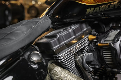 2016 Harley-Davidson Softtail Custom