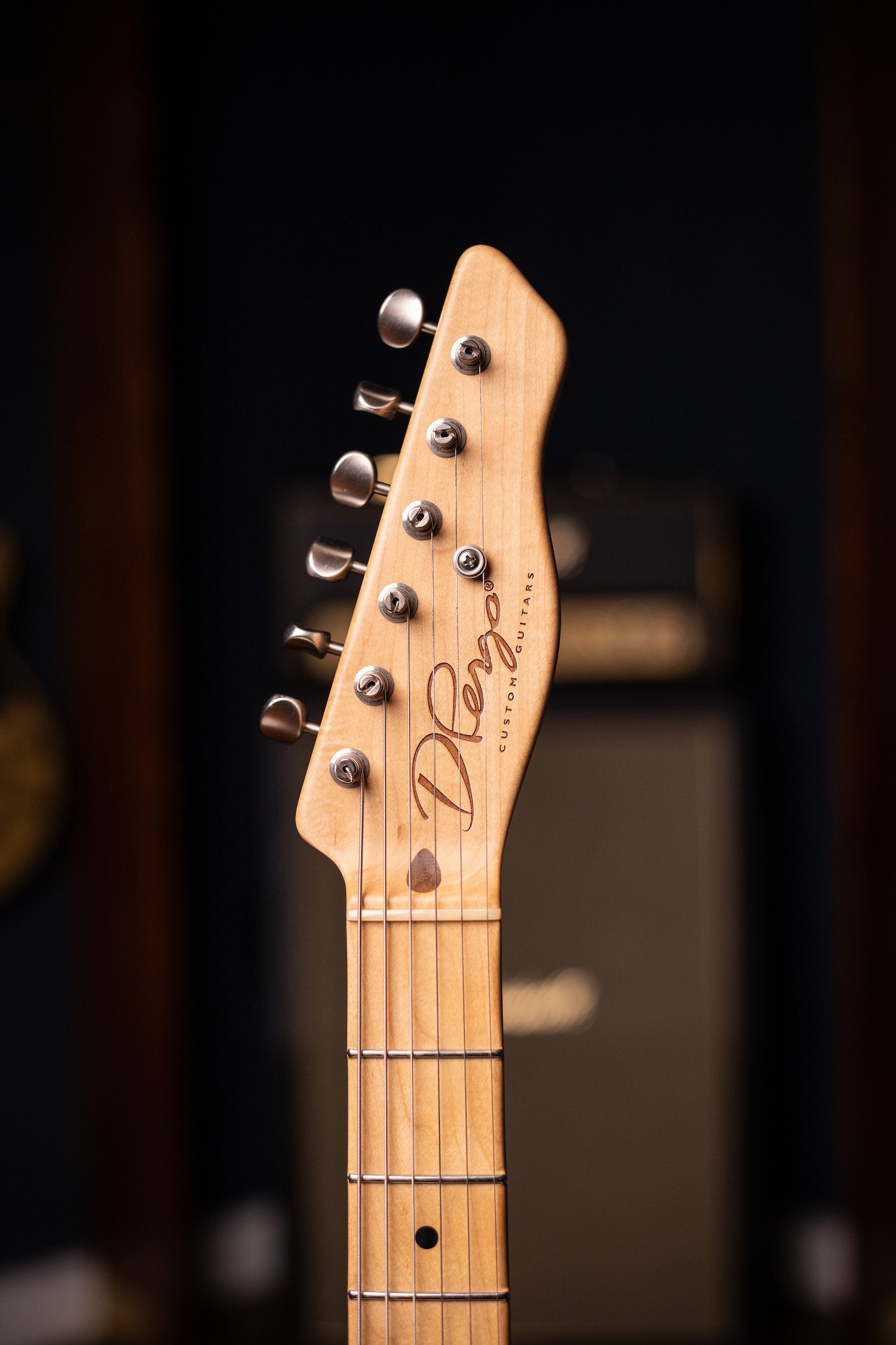 2010 D Pergo Semi Hollow Electric Guitar - Aged Bakersfield