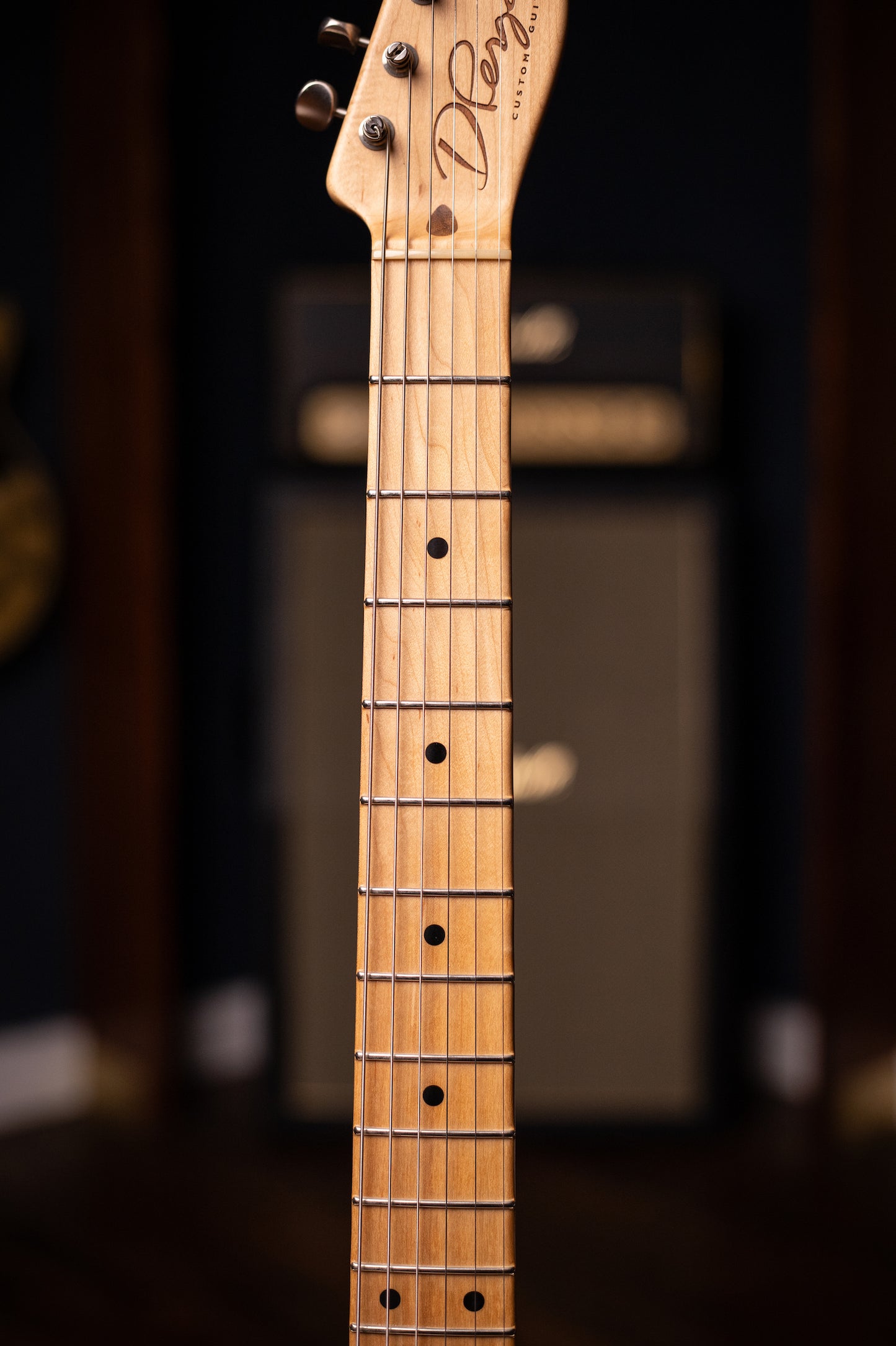 2010 D Pergo Semi Hollow Electric Guitar - Aged Bakersfield