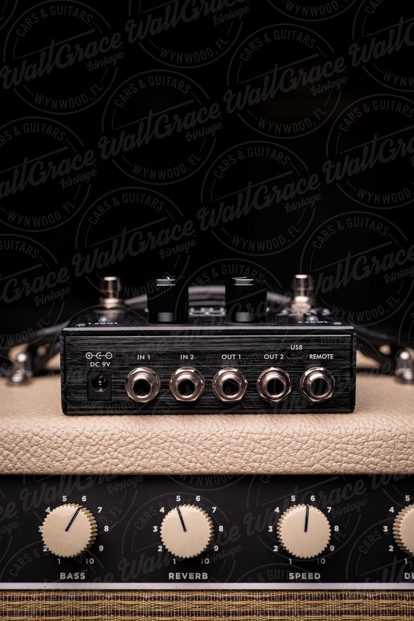 Pigtronix Infinity 2 Looper Pedal