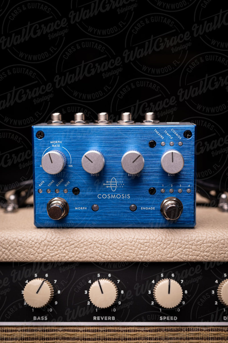 Pigtronix Cosmosis Reverb Pedal