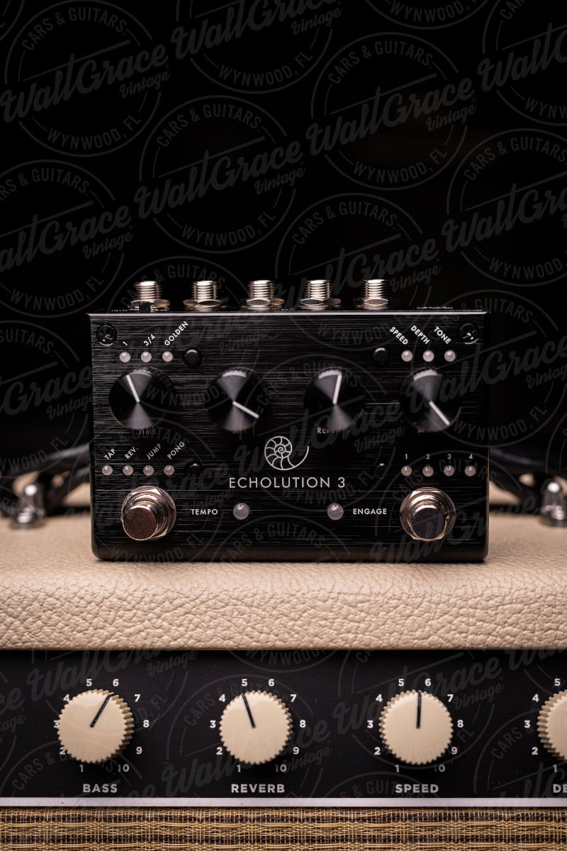 Pigtronix Echolution 3 Delay Pedal