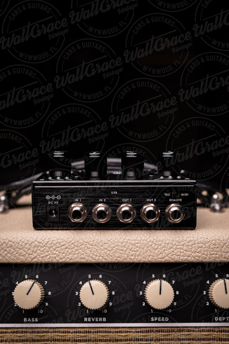Pigtronix Echolution 3 Delay Pedal