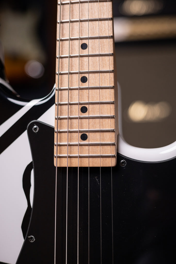 2007 EVH Striped Washington DC - White, Black