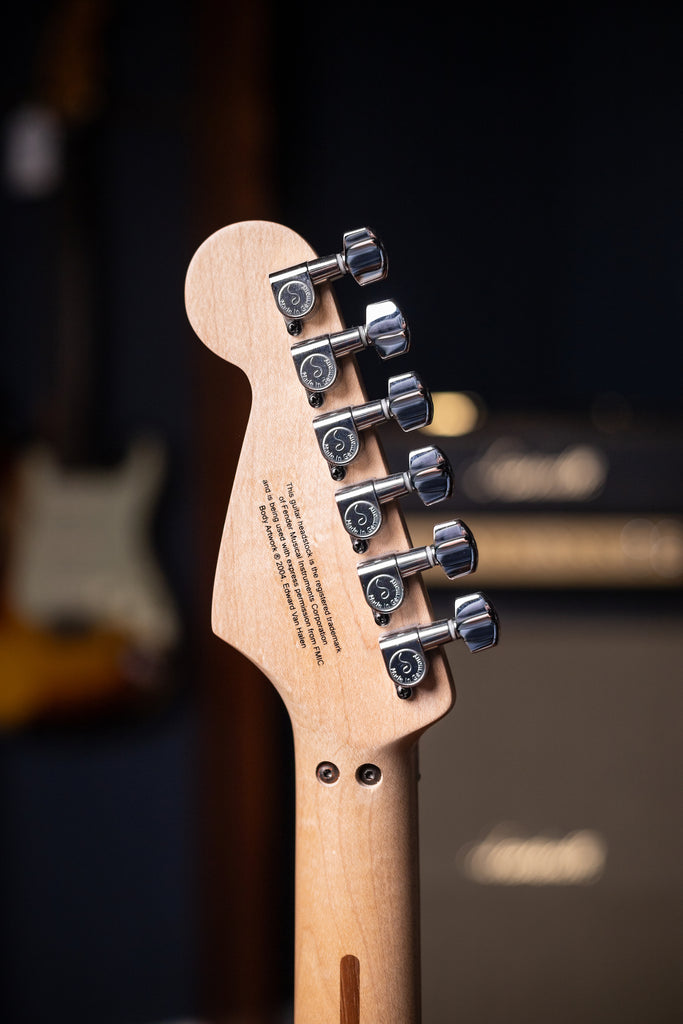 2007 EVH Striped Washington DC - White, Black