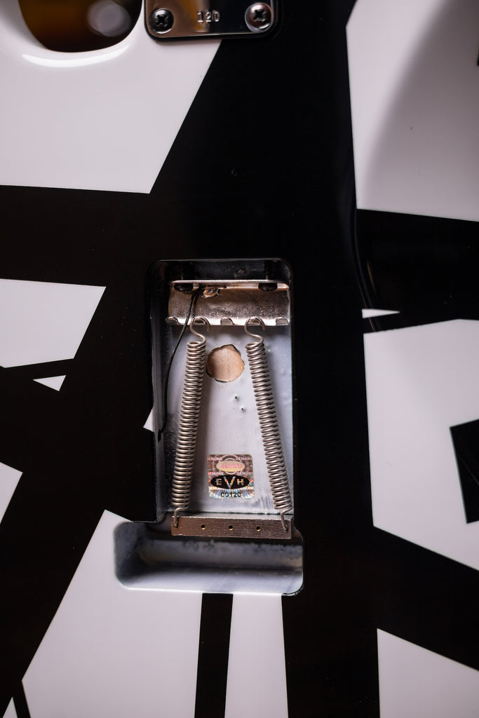 2007 EVH Striped Washington DC - White, Black