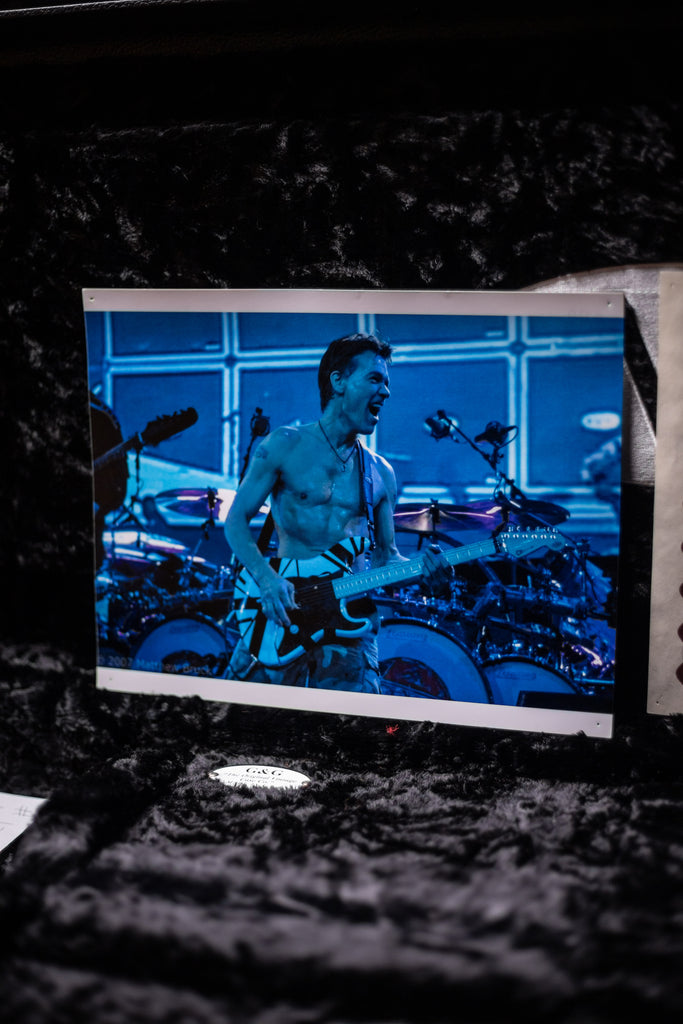 2007 EVH Striped Washington DC - White, Black