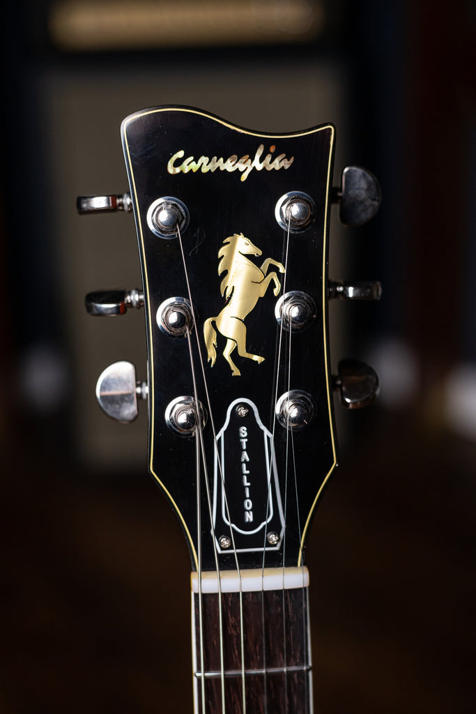 Pre-Order | Carneglia Master Series Stallion Standard Electric Guitar - Tobacco Sunburst