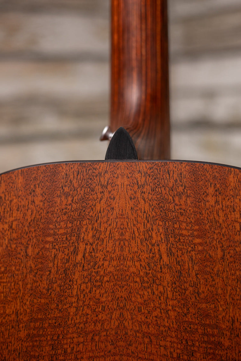 Martin D-X1E Acoustic-Electric Guitar - Mahogany