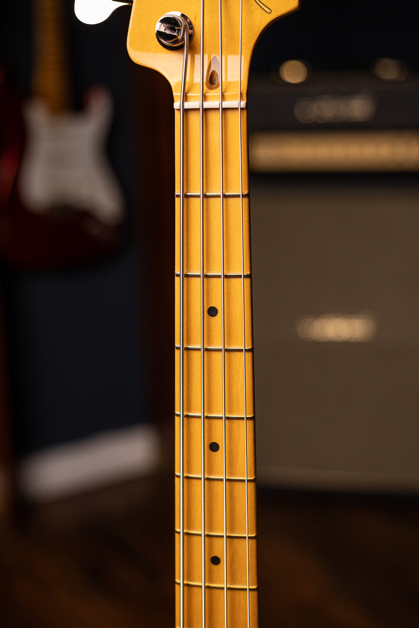 Fender American Professional Classic Precision Bass - Lake Placid Blue