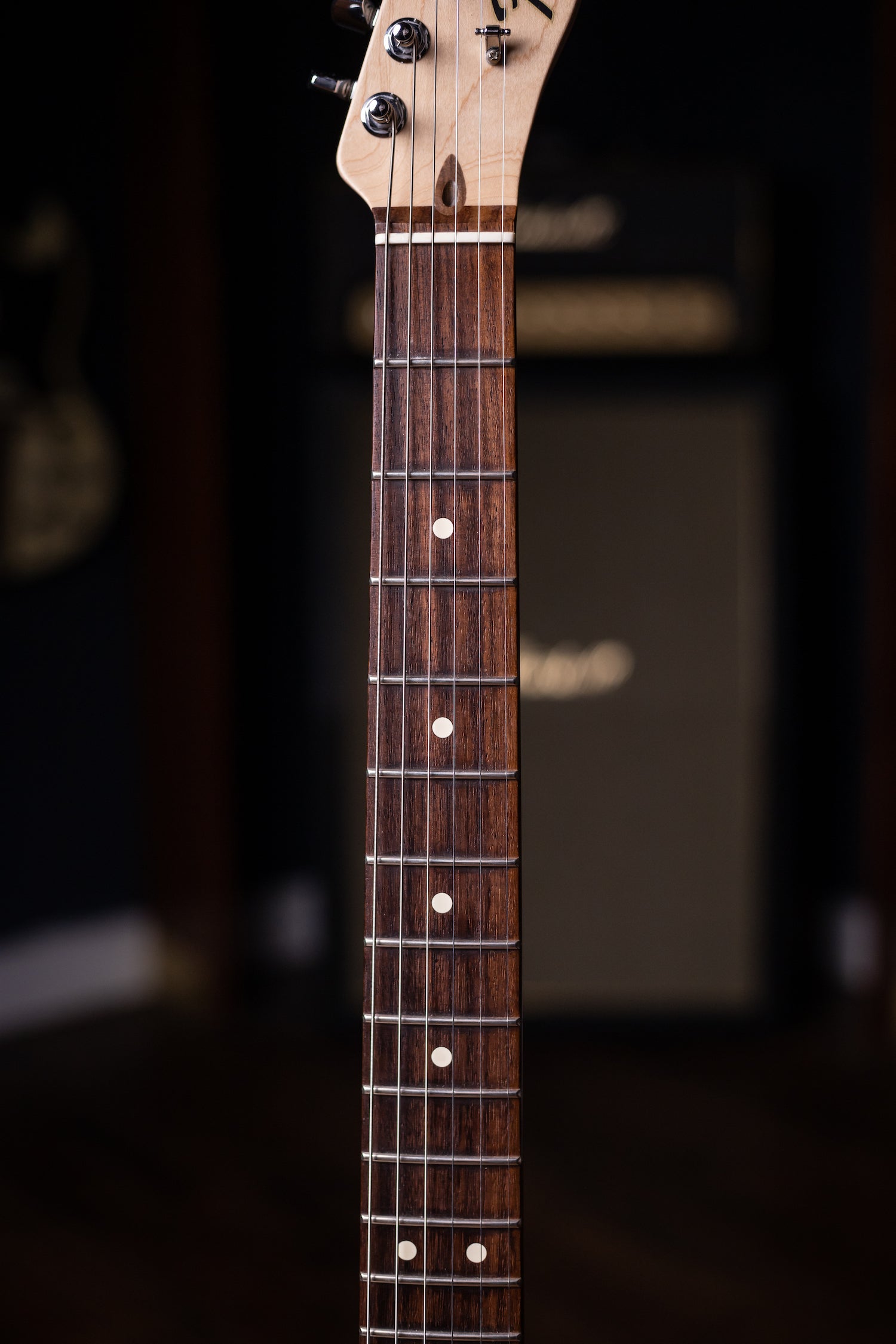 2008 Fender American Professional Telecaster Electric Guitar - Lake Placid