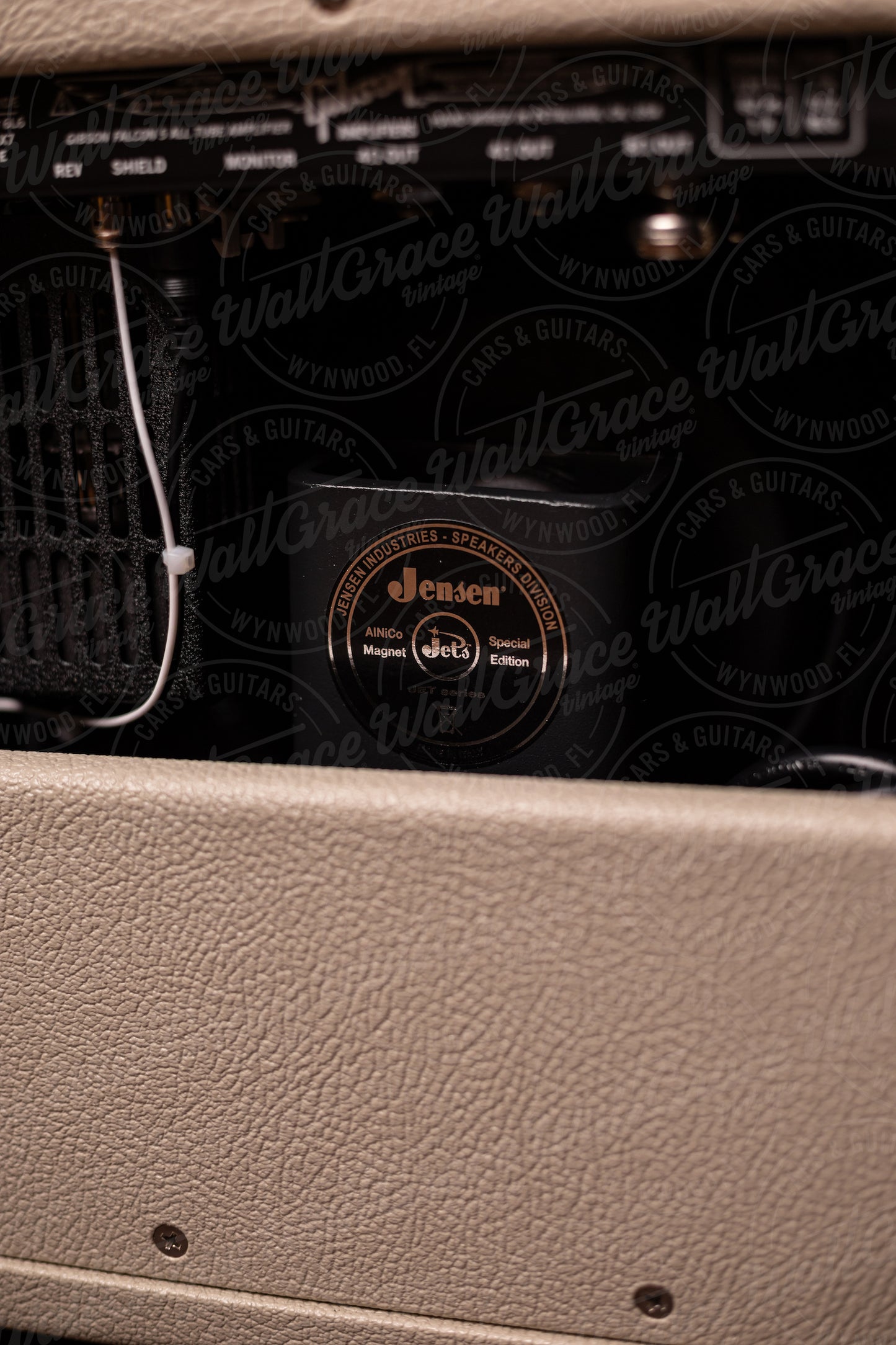 Gibson Falcon 5 1x10"Combo Amp - Cream Bronco w/ Oxblood Grille