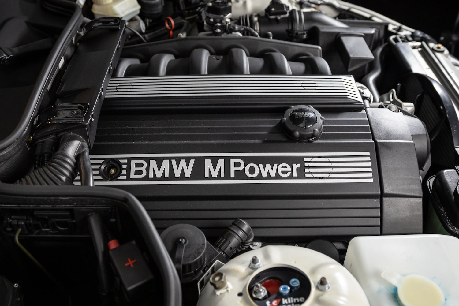 1999 BMW Z3 M Coupe | Alpine White