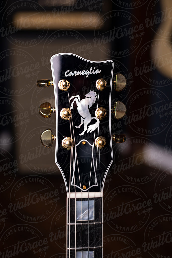 Pre-Order | Carneglia Stallion Custom P-90 Electric Guitar - Ebony