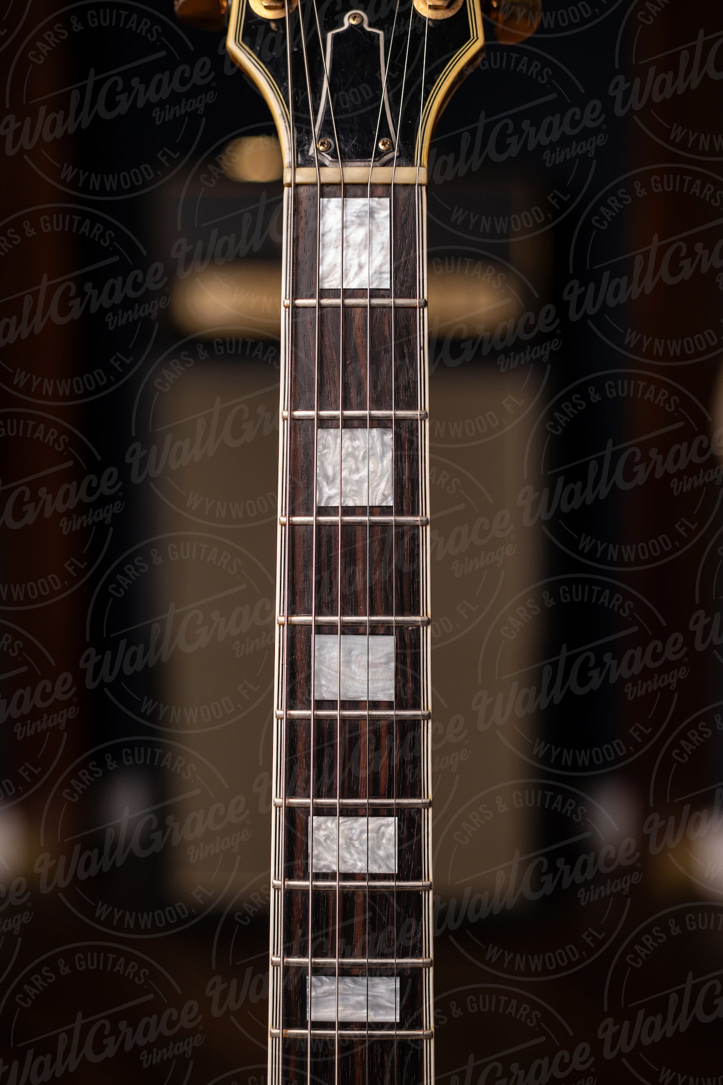 1978 Ibanez FA-300NT Hollowbody Electric Guitar - Natural
